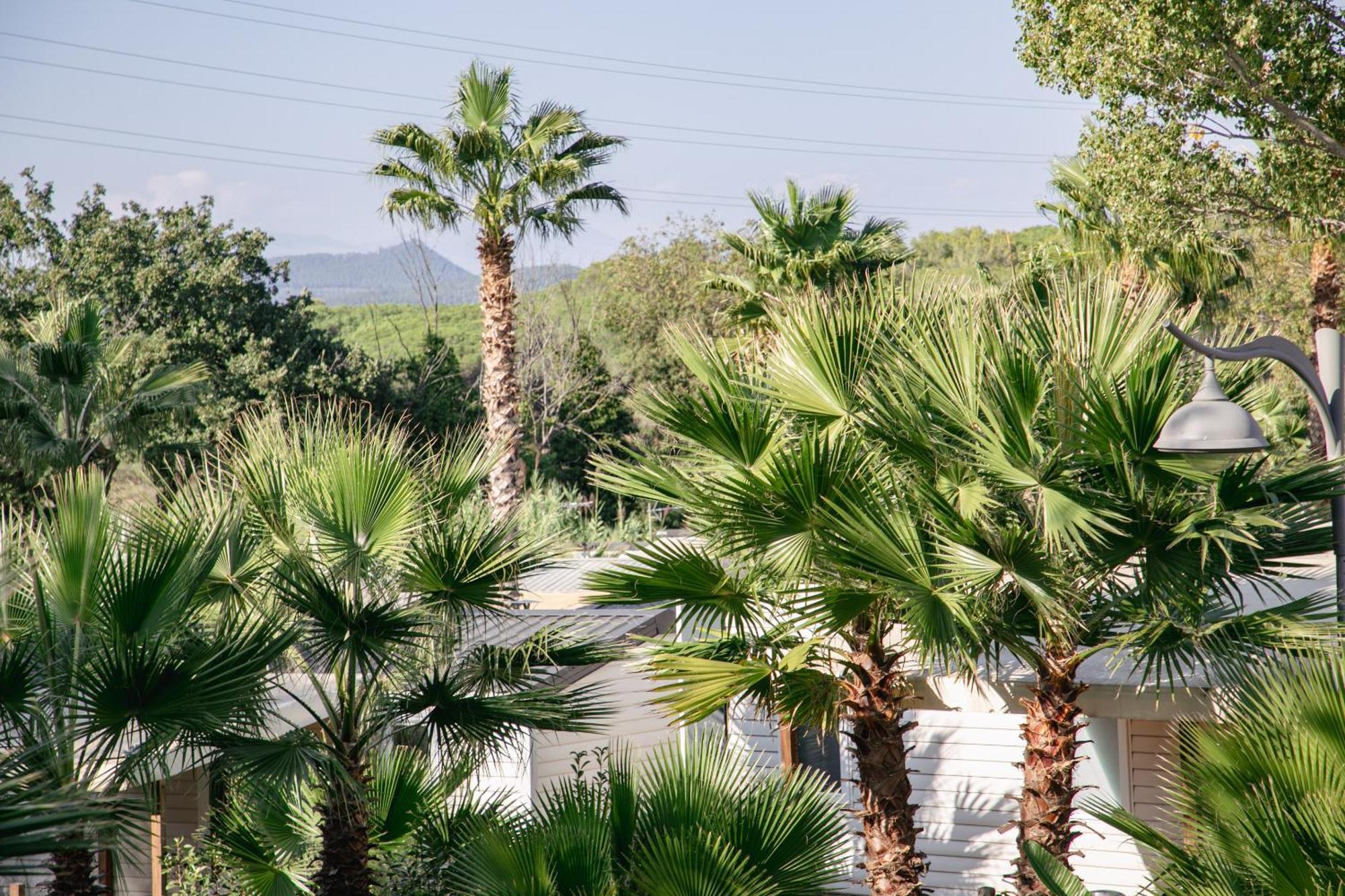 Camping Site De Gorge Vent Fréjus Exterior foto